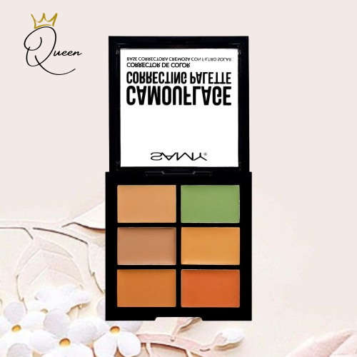 PALETA CORRECTORES SAMY X6